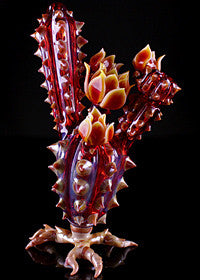 Unparalleled Cactus Flower Rig