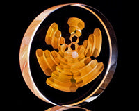 Teurfs 40mm Honeycomb Coin Cap