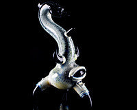 Torcher Creature Crawler Pipe