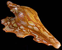 GZ x Cody Blasted Sea Life Shell Pipe