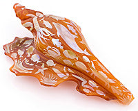 GZ x Cody Blasted Sea Life Shell Pipe