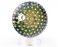 Firekist Fume Airtrap Anemone Marble Pipe