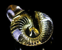 Erik Anders Ammonite Fossil Pendant