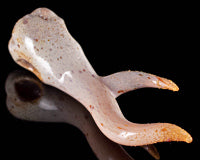 603 Glass Antler Dabber Pendant