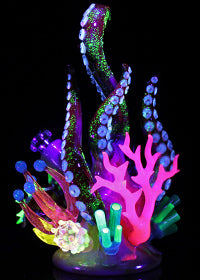 Kravin UV Sea Life Rig