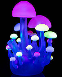 UV Mushroom Cluster Rig