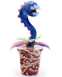Pothead Plant Pipe
