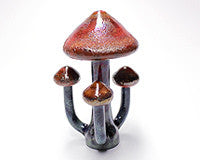 Red Mushroom Hitter